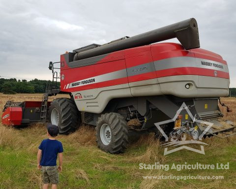 Massey Ferguson Beta Paralevel 7360PL Combine.