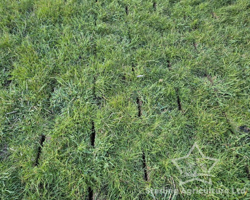 Alstrong Aerator for Hire.