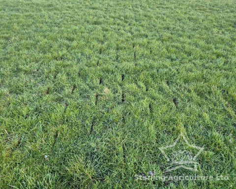 Alstrong Aerator for Hire.