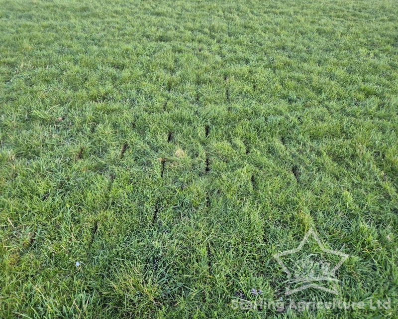 Alstrong Aerator for Hire.