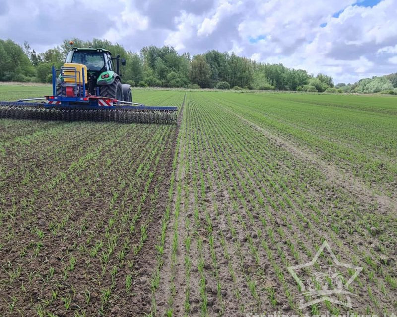 GST BioStar Rotary Hoe